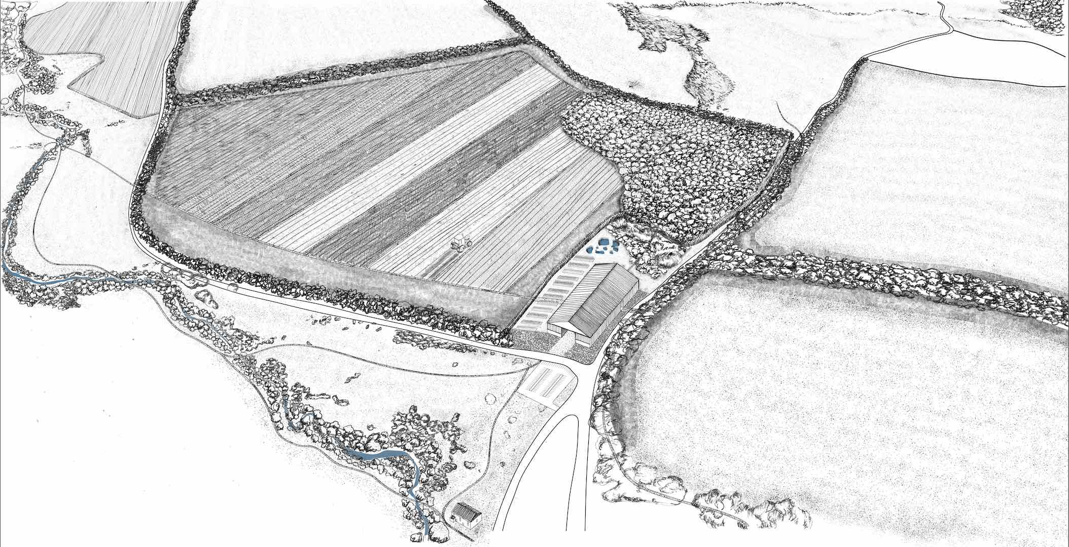 The Agricultural Futures Centre
