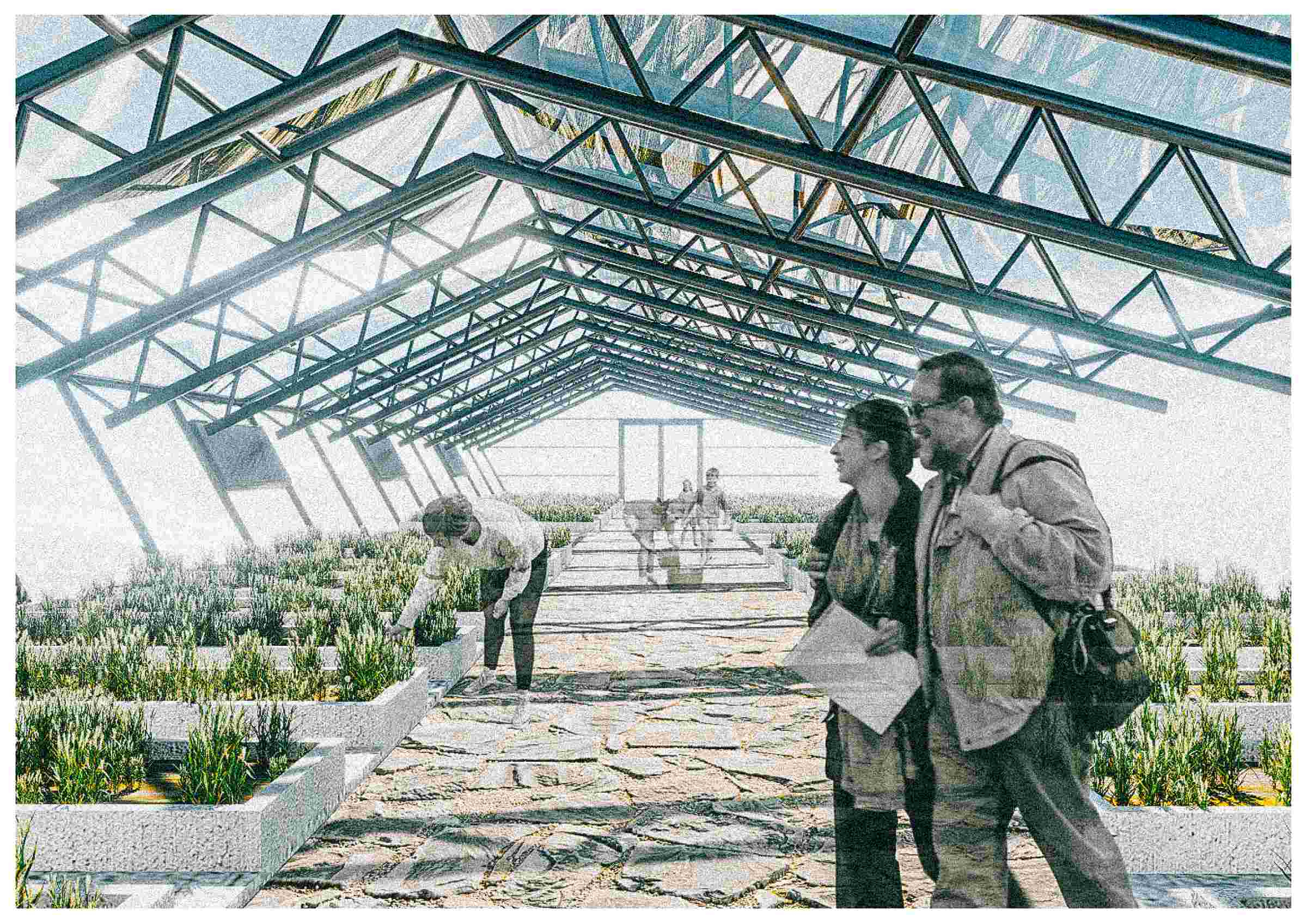 Planting greenhouse interior effect