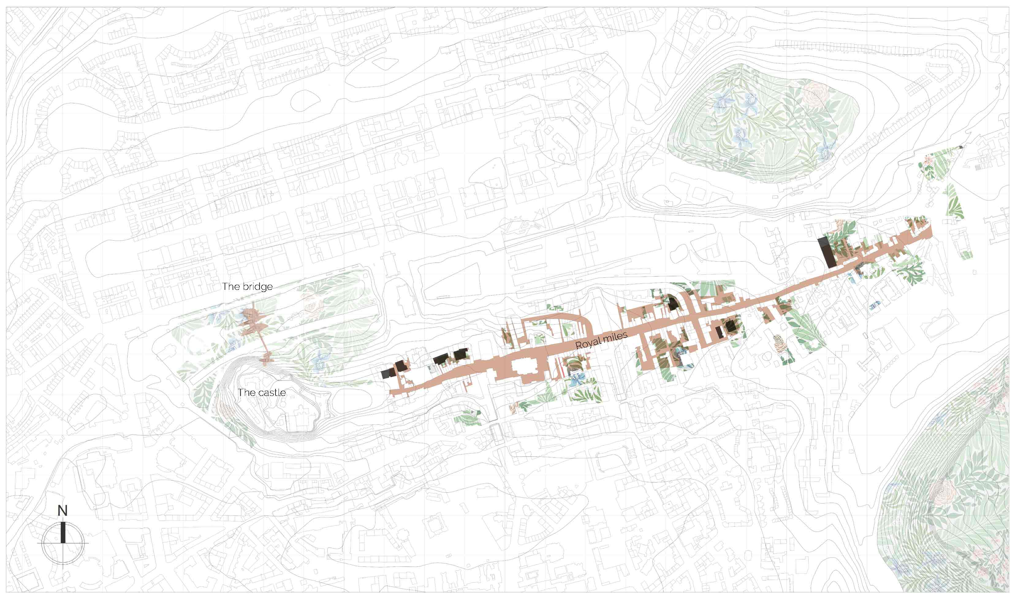 Site Plan with Bridge